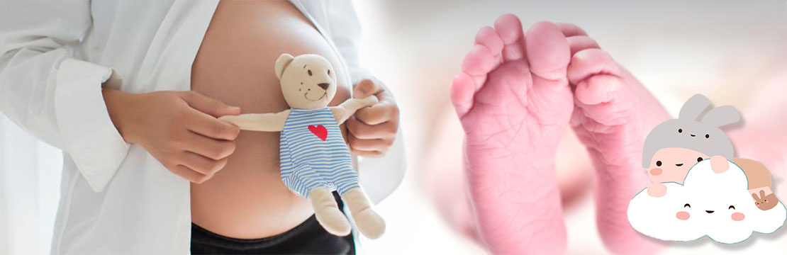 Dra. Angélica Wapenka